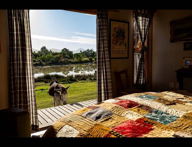 FARM FOR SALE IN THE CRAGS